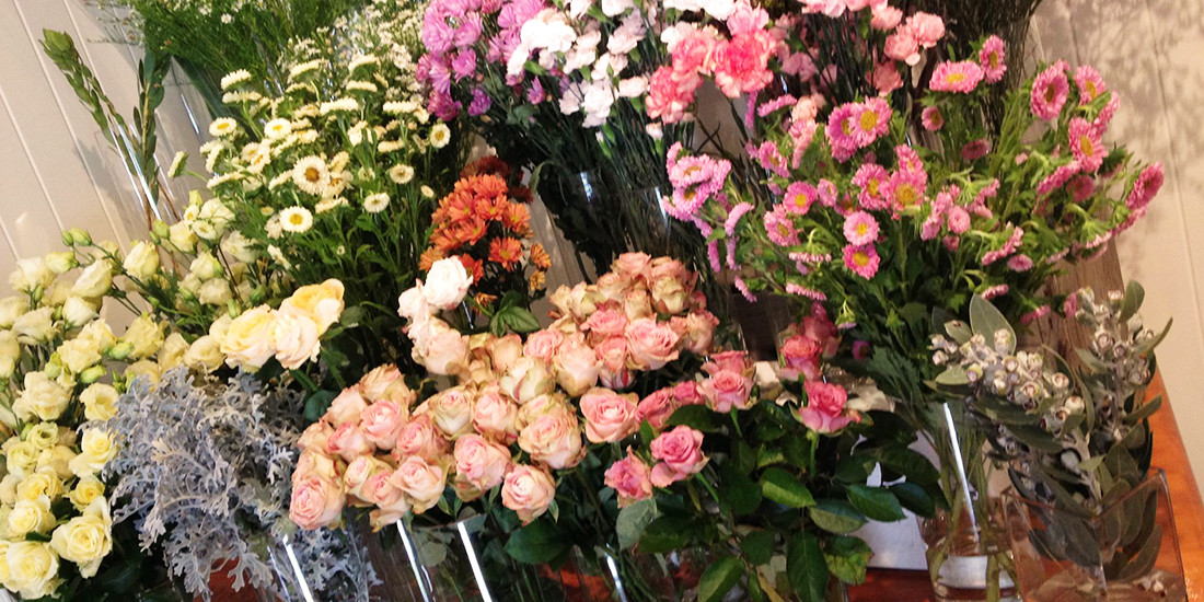 TWE Francesca's Flowers, Paddington