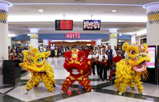 BrisAsia Festival – Chinese New Year Celebrations