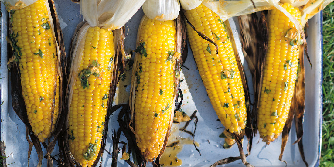 Chomp on corn with smoked paprika and coriander butter