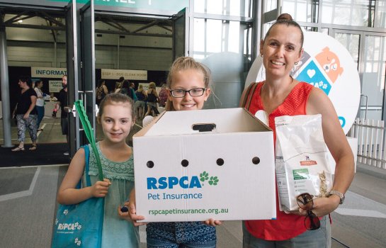 RSPCA Pop-up Adoption