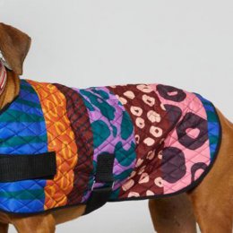 Keep Aussie pets safe with a limited-edition PetRescue x Gorman dog coat