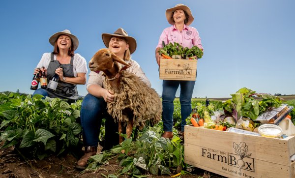 From the farm to the city – newly launched Scenic Rim Farm Box brings the best local produce to your door