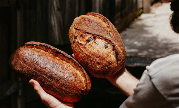 Riser Bread evolves from loaf-slinging subscription to Toowong's new bang-on bakery