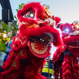 Sizzle, spark and spice – where to celebrate Lunar New Year in Brisbane