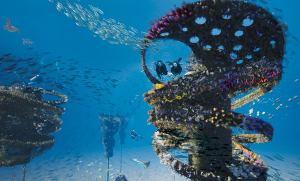 World-first floating reef and dive attraction to be built off the Gold Coast