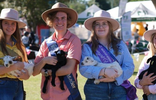 Mudgeeraba Agricultural Show