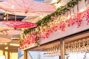 Japanese Cherry Blossom Festival at The Collective Palm Beach Rooftop