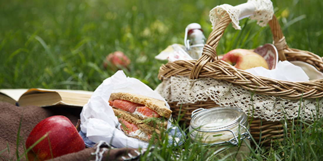 Brisbane picnic