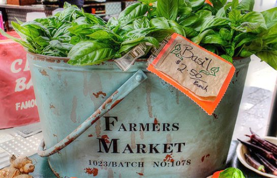 Queen Street Farmers Market