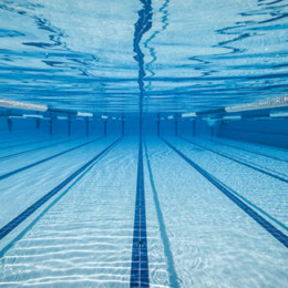 Brisbane swimming pools