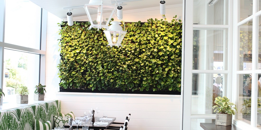 nantucket kitchen and bar indooroopilly