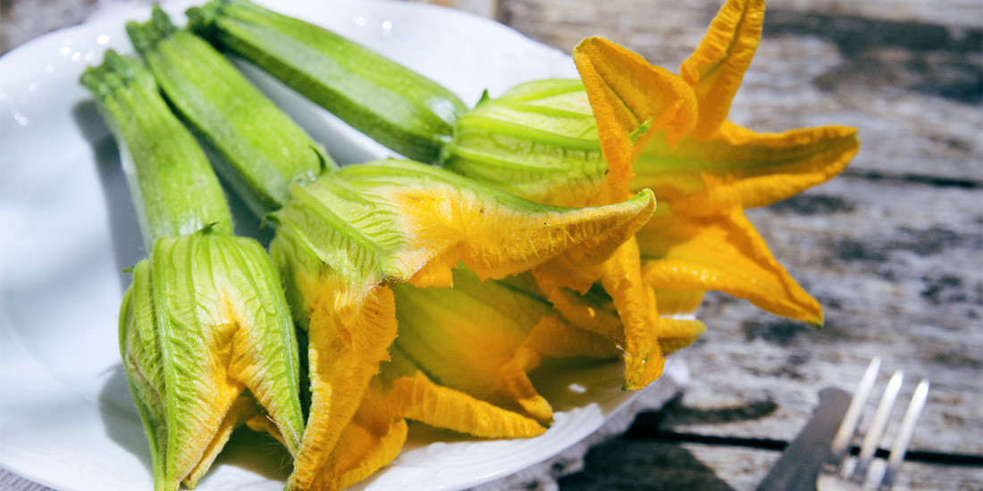 Grow Zucchini flowers in your vegie patch