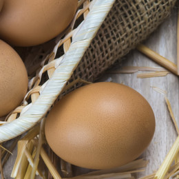 Go free range and sustainable with The Egg Man