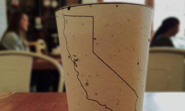 Plantable coffee cups encourage littering for a good cause