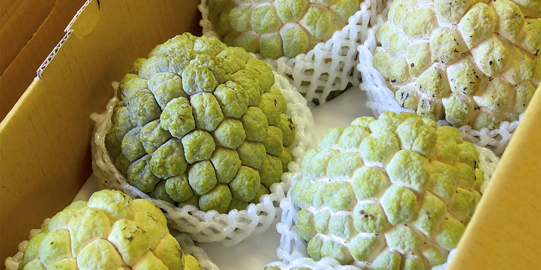 Sweet, fragrant custard apples are in season and on stall tables at Tony's Fresh Fruit and Veg