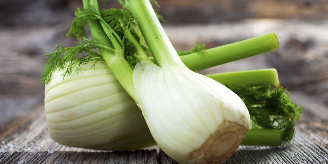 Get creative with bulbous fennel from Sandy Creek Gourmet Produce
