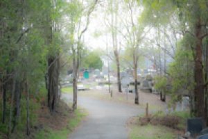 Toowong Cemetery walking tour:  sporting personalities @  Brisbane Open House