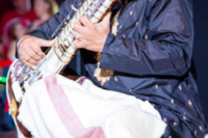 Strings of India @ Diwali Festival