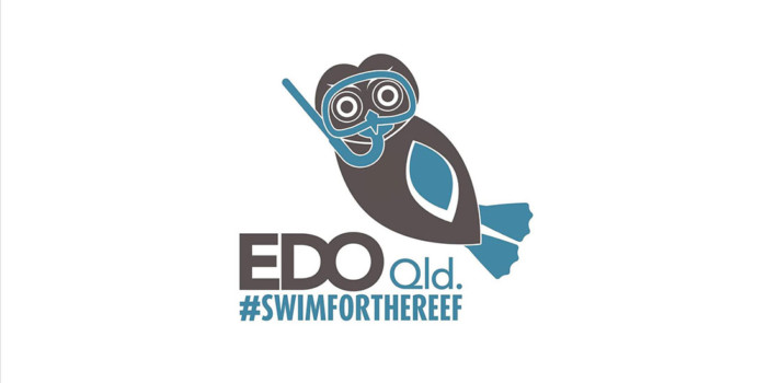 Swim for the Reef