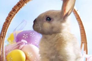 Easter Extravaganza – Little Days Out