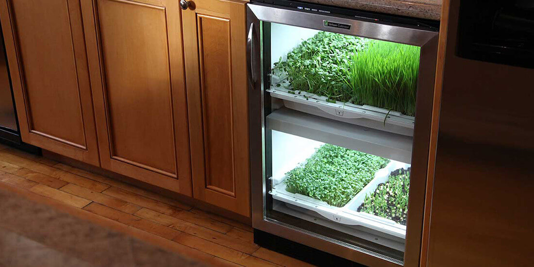Grow perfect herbs indoors with the Urban Cultivator