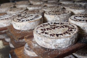 The Art of Cheese – Masterclass and Tasting