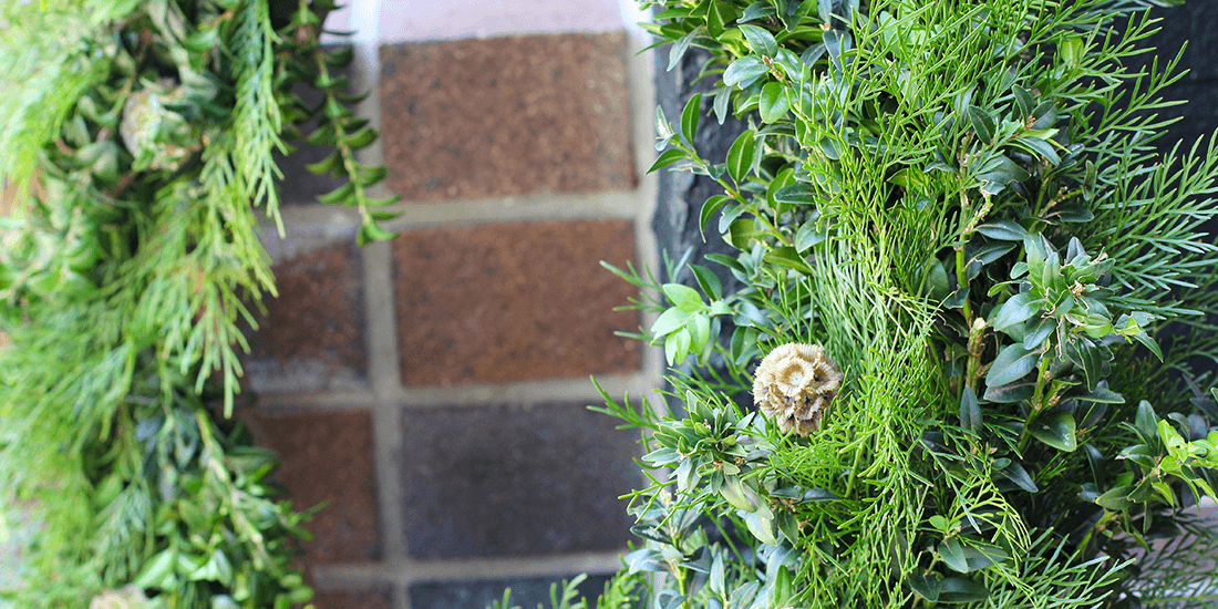 Get into the festive spirit with a Christmas wreath from Gardenbird Flowers