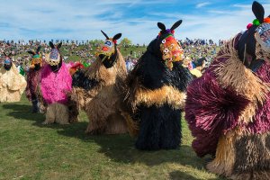 GOMA Turns 10 Opening Weekend Celebrations