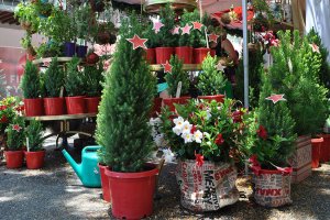 South Bank’s Christmas Markets