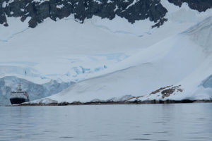 Discover Antarctica & The Arctic