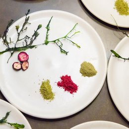 Art meets plate for the multi-sensory dinner We Who Eat Together at GOMA