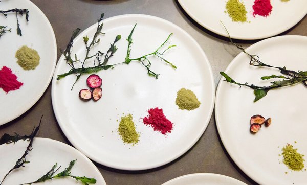 Art meets plate for the multi-sensory dinner We Who Eat Together at GOMA