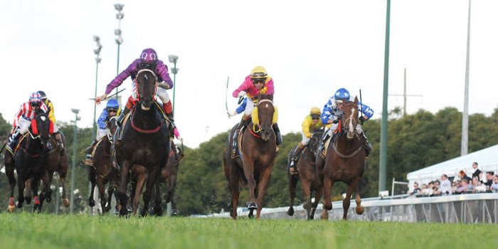 Toowoomba Weetwood Races