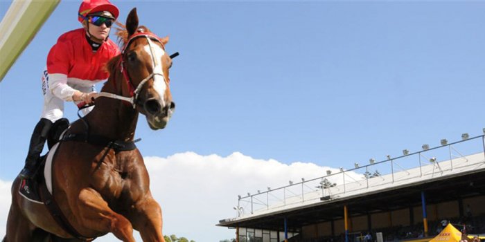 Toowoomba Weetwood Races