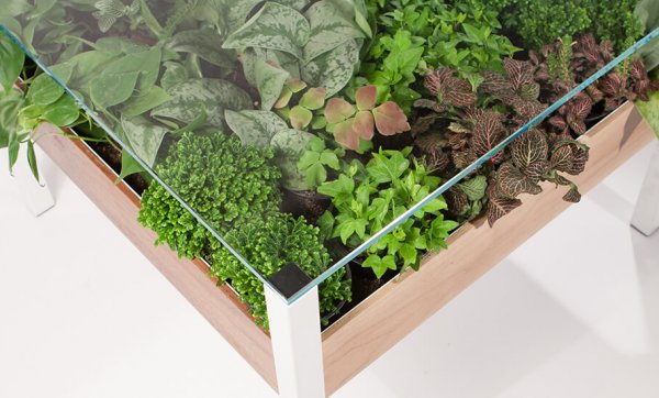 Turn your entertaining area into a green space with a Living Table