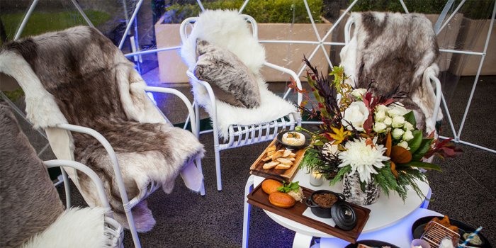 Absolut Winter Pop-up Bar