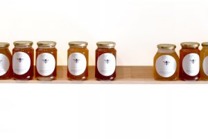 Honey Tasting + Artist Talk | Franz Ehmann