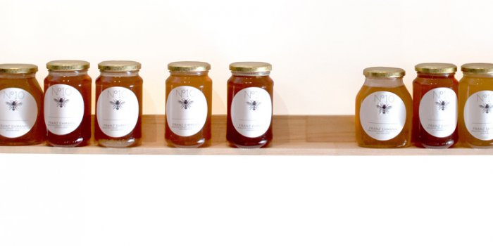 Honey Tasting + Artist Talk | Franz Ehmann