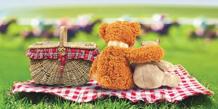 Teddy Bears Picnic