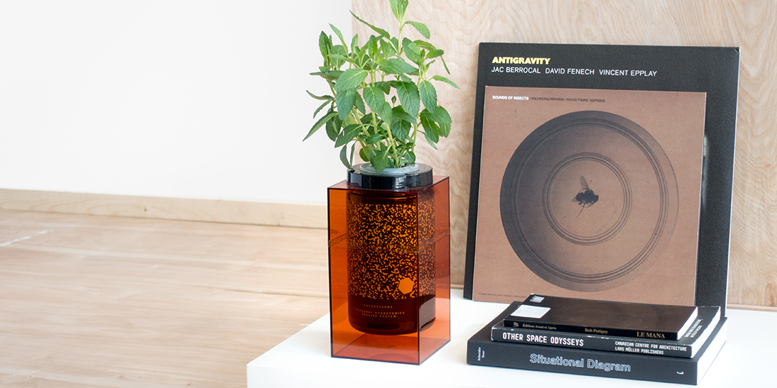 Grow healthy herbs with minimal work with the Spacepot by Future Farms