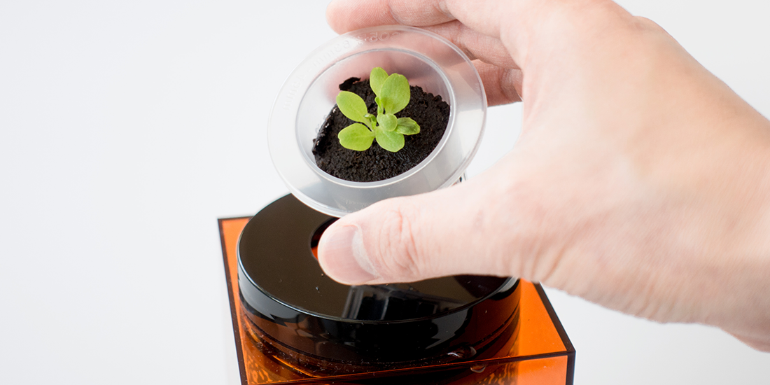 Grow healthy herbs with minimal work with the Spacepot by Future Farms