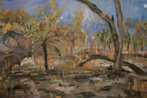 Kakadu – An Artists Perspective