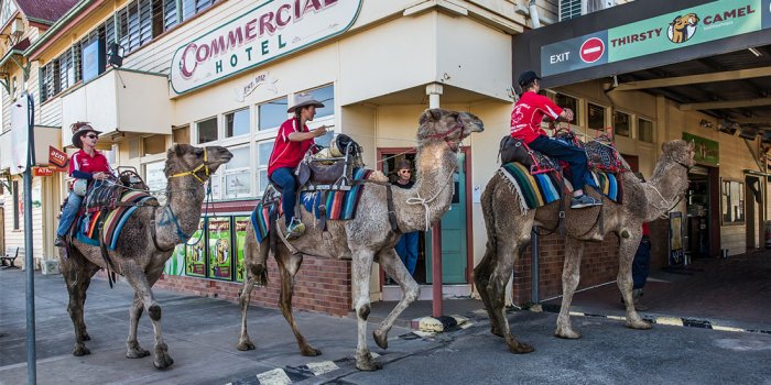 Tara Festival of Culture and Camel Races