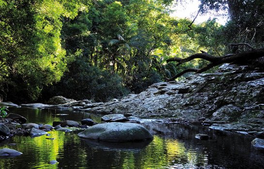 The Roadtrip Series: uncover the other side of coastal gem Currumbin