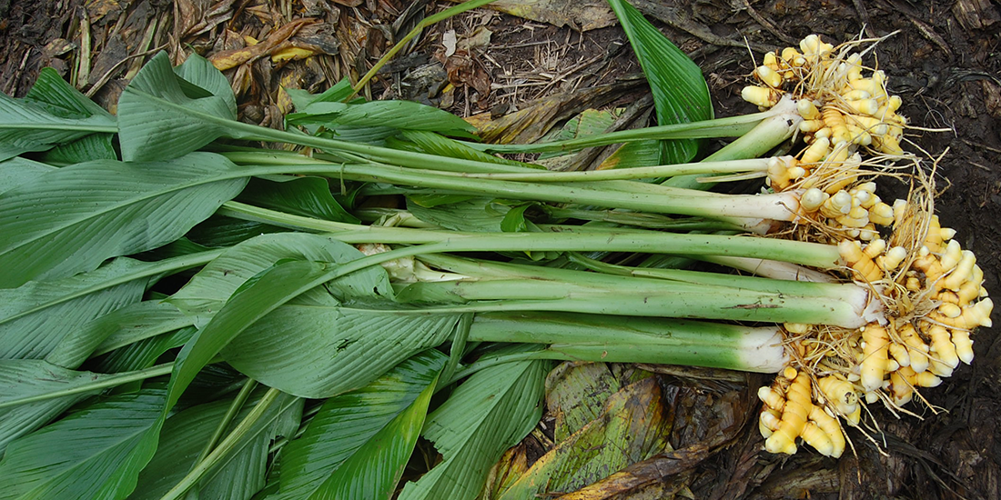 Farmhouse Direct lets you score your produce straight from the source