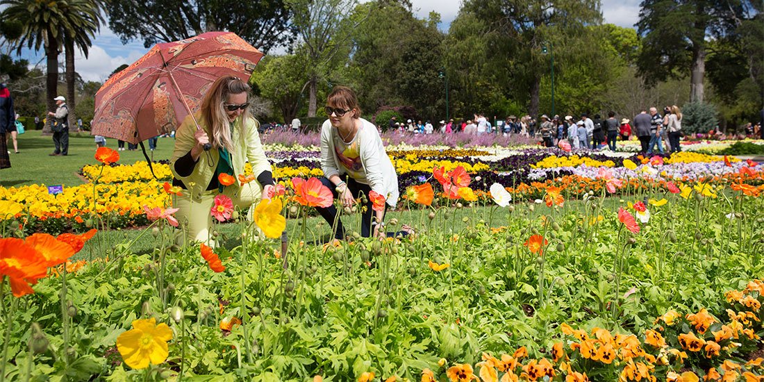 Toowoomba Carnival of Flowers continues to blossom with its freshest offering to date