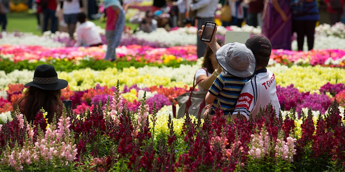 Toowoomba Carnival of Flowers continues to blossom with its freshest offering to date