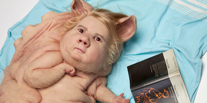 Patricia Piccinini: Curious Affection