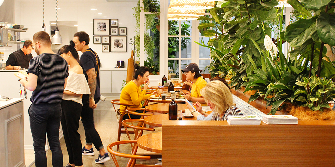 Ivy & Lark brightens up Chermside with fresh food and lush foliage