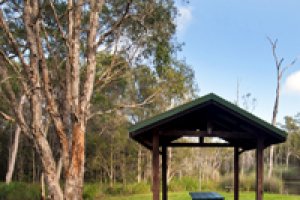 Yoga back to nature